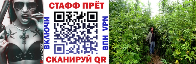 Купить Грозный COCAIN  kraken вход  Бошки Шишки 