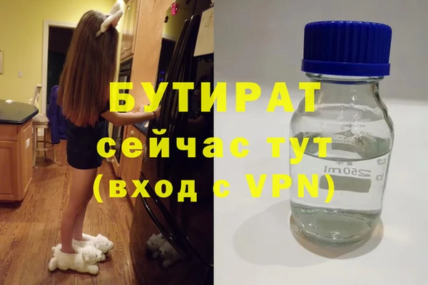 индика Надым