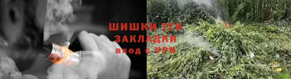 индика Надым