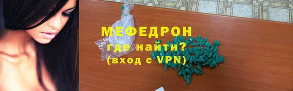 индика Надым