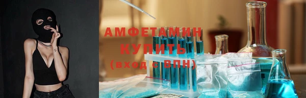 индика Надым