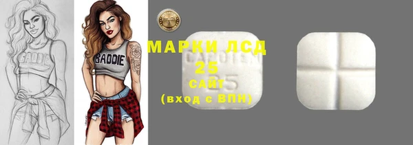 индика Надым