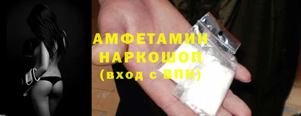 индика Надым