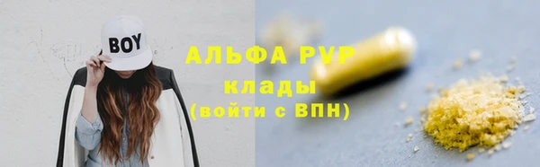 индика Надым