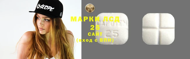 индика Надым