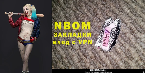 индика Надым