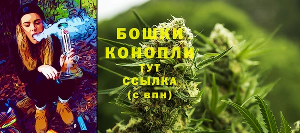 индика Надым