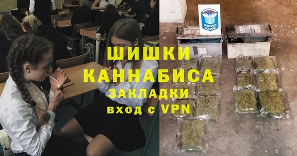 индика Надым