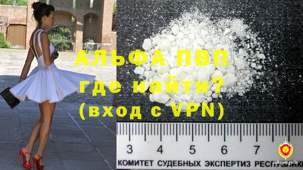 индика Надым