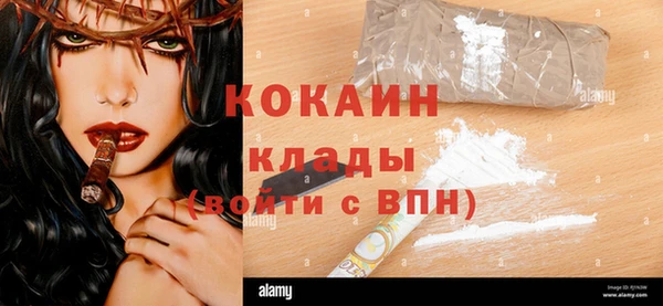 индика Надым