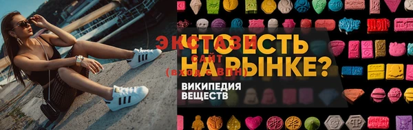 индика Надым