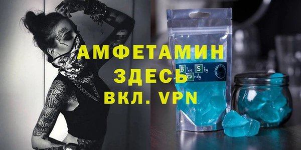 индика Надым