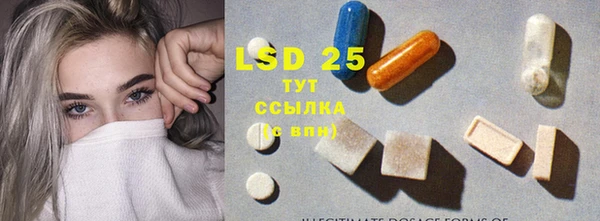 индика Надым