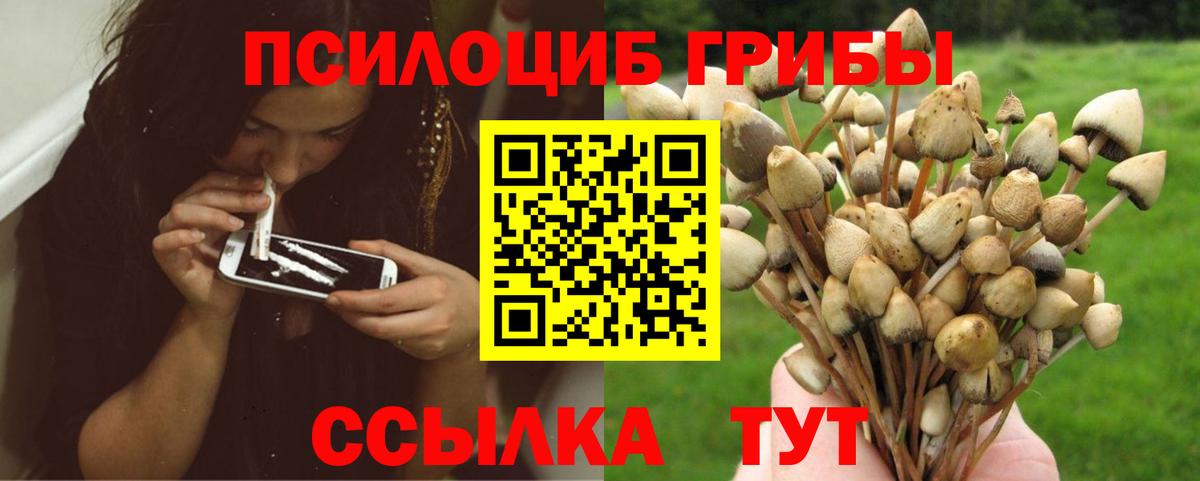 Грозный  Псилоцибиновые грибы мицелий  Вход с VPN 